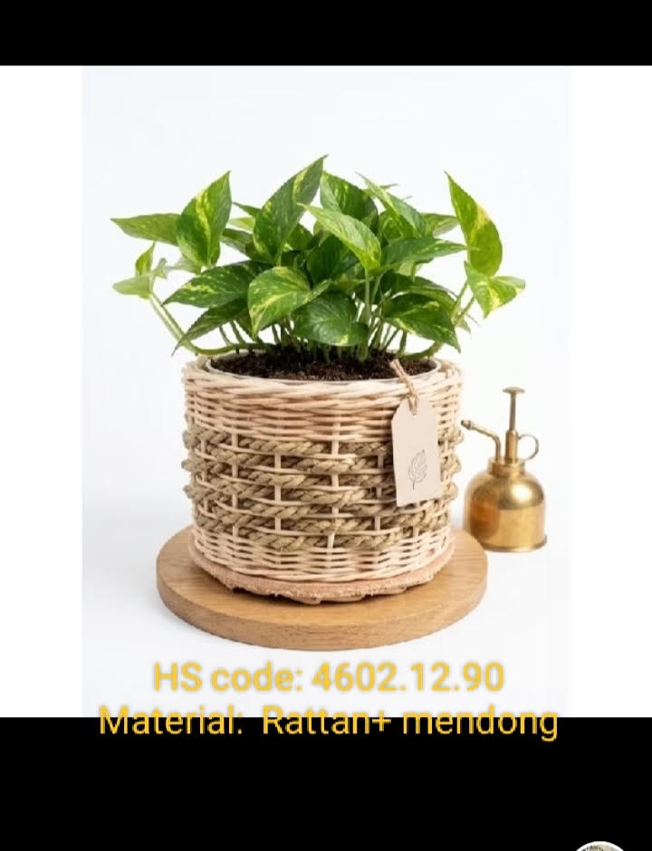 Rattan & Bamboo Weaving Industry 1