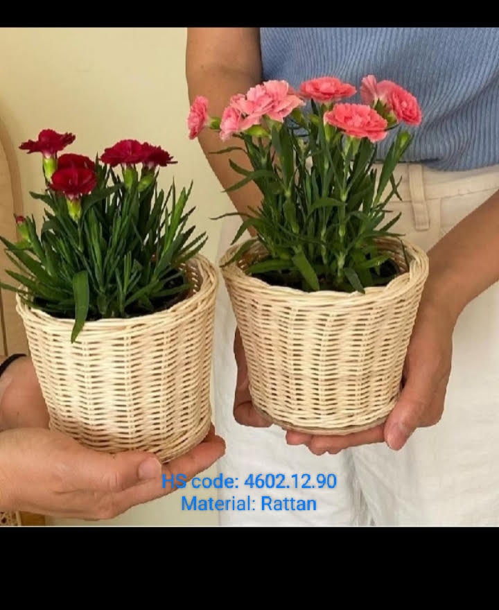 Rattan & Bamboo Weaving Industry 3
